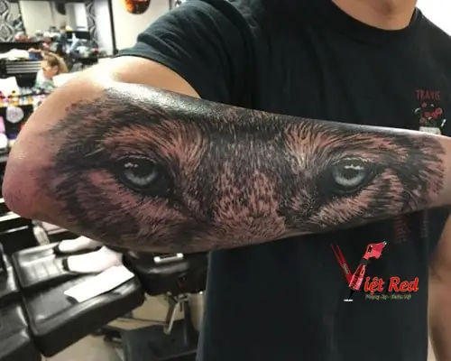Thiết Kế Hình Xăm Chó Sói Đẹp Nhất