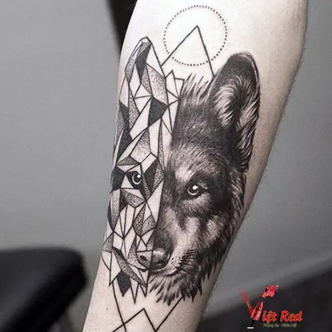 Thiết Kế Hình Xăm Chó Sói Đẹp Nhất