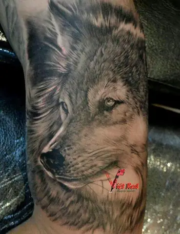 Thiết Kế Hình Xăm Chó Sói Đẹp Nhất