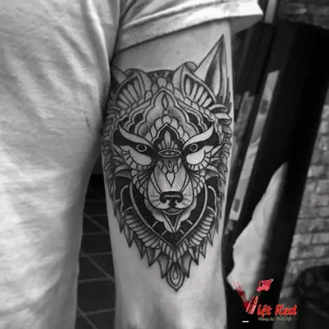 Thiết Kế Hình Xăm Chó Sói Đẹp Nhất