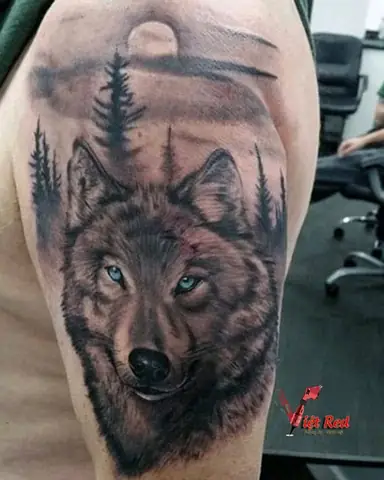 Thiết Kế Hình Xăm Chó Sói Đẹp Nhất