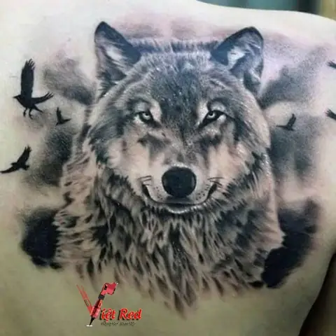 Thiết Kế Hình Xăm Chó Sói Đẹp Nhất