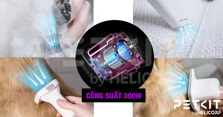 Công Suất - Bộ Lọc Máy Chải, Hút Lông Chó Mèo