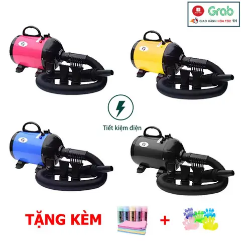 Máy Sấy Lông Chó 2800w: Hướng Dẫn Chọn Mua Và Sử Dụng An Toàn, Hiệu Quả