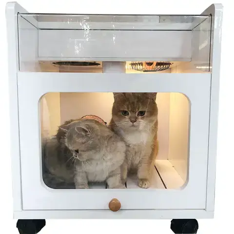 Các Tiêu Chí Quan Trọng Khi Chọn Máy Sấy Lông Chó Poodle