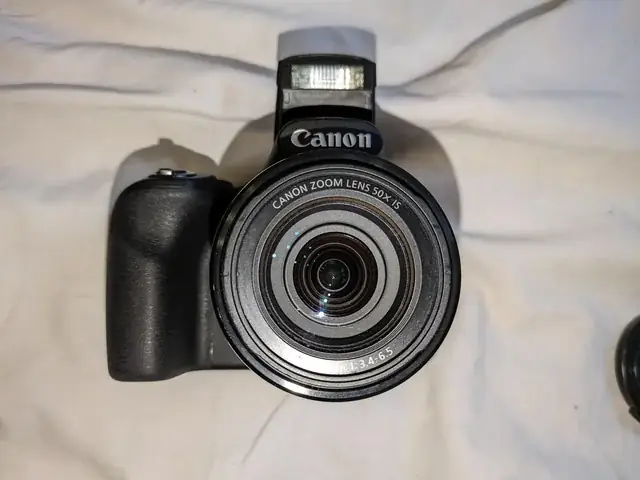 Máy Xua Đuổi Chó Mèo: Hướng Dẫn Chọn Thiết Bị Hiệu Quả Và An Toàn Cho Gia Đình