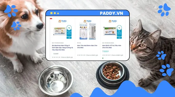 Các Loại Men Sinh Hiện Được Sử Dụng Phổ Biến