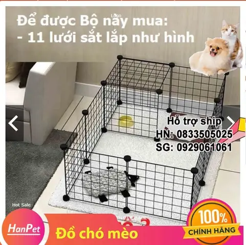 Miếng Ghép Chuồng Chó Hà Nội: Hướng Dẫn Chi Tiết Từ A-z