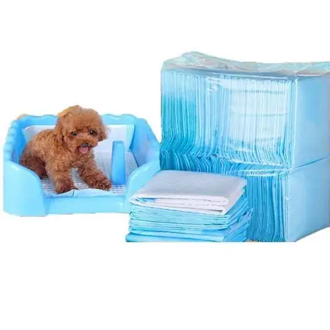 Hướng Dẫn Chọn Và Sử Dụng Miếng Lót Vệ Sinh Cho Chó Tại Tp.hcm Hướng Dẫn Chọn Và Sử Dụng Miếng Lót Vệ Sinh Cho Chó Tại Tp.hcm