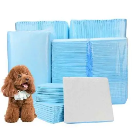 Hướng Dẫn Chọn Và Sử Dụng Miếng Lót Vệ Sinh Cho Chó Tại Tp.hcm Hướng Dẫn Chọn Và Sử Dụng Miếng Lót Vệ Sinh Cho Chó Tại Tp.hcm