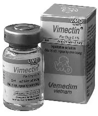 Mò Bao Lông Trên Chó