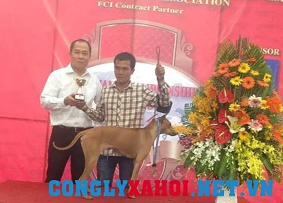 Ty Phu Tuoi 30 Tu Mo Hinh Nuoi Cho Phu Quoc Va Noi Niem Bao Ton Giong Cho Viet Ty Phu Tuoi 30 Tu Mo Hinh Nuoi Cho Phu Quoc Va Noi Niem Bao Ton Giong Cho Viet