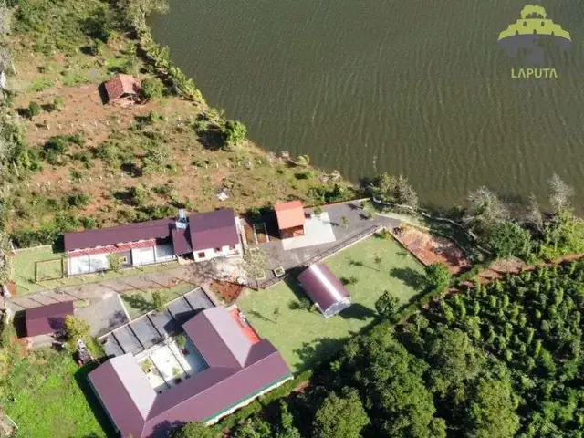 Lợi Nhuận Từ Mô Hình Trang Trại Chó Cảnh