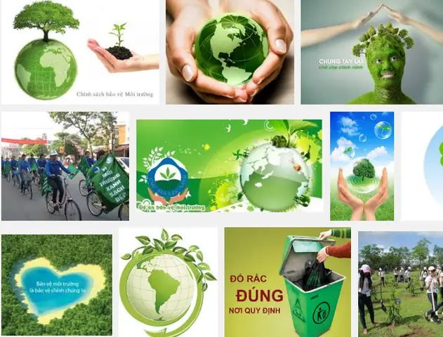 Môi Trường Sống Của Con Chó: Tổng Quan Đầy Đủ Về Nơi Chó Sinh Sống Và Thích Nghi