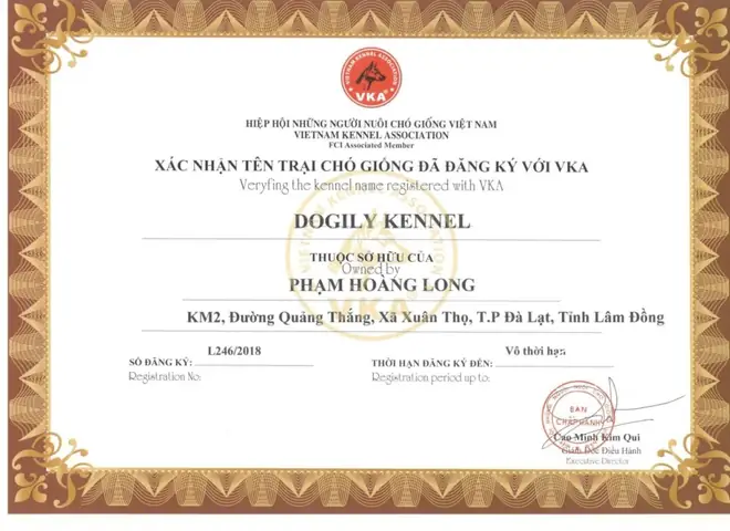 Mua Bán Chó Ngao Ý