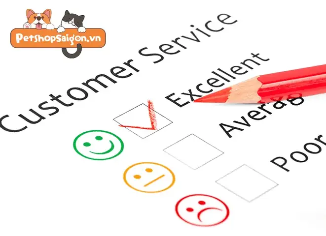 Lợi Ích Khi Mua Tại Cửa Hàng Bán Đồ Ăn Cho Chó Giá Rẻ Và Uy Tín