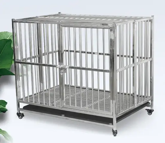 Mua Nhà Cho Chó Ở Đâu: Cẩm Nang Lựa Chọn Đúng Chuẩn Khoa Học