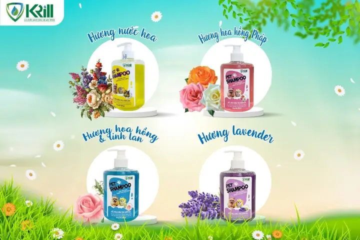 Mua Sữa Tắm Cho Chó Mèo Ở Đâu?