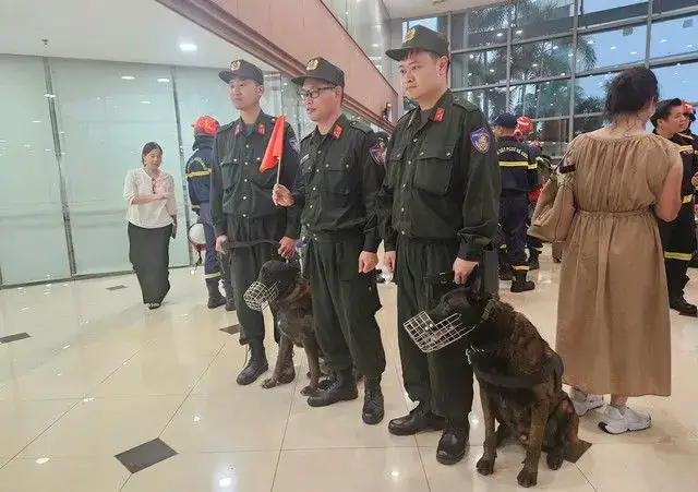 Mũi 7 Bệnh Của Chó Gồm Những Bệnh Gì?