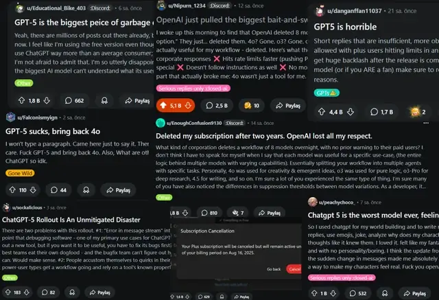 Muốn Xin Chó Về Nuôi: Hướng Dẫn Chi Tiết Từ A-z Để Nhận Nuôi Chó An Toàn Và Trách Nhiệm