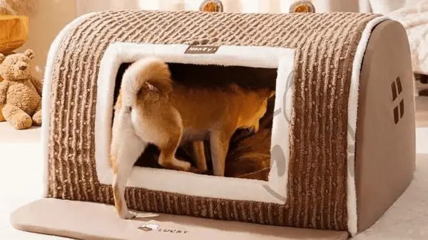 Nhà Nệm Cho Chó Mèo