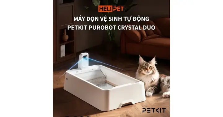 Nên Mua Khay Vệ Sinh Cho Chó Loại Nào