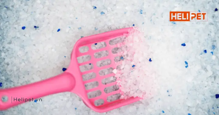 Cát Thủy Tinh Vệ Sinh Cho Mèo Là Gì?