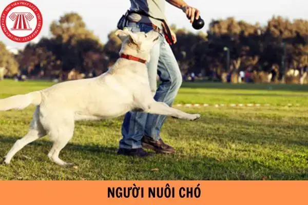 Tổng Quan Về Nghị Định Cấm Chó Thả Rông Và Các Quy Định Liên Quan