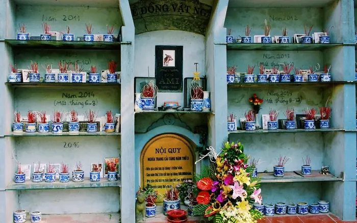 Nghĩa Trang Chó Mèo Củ Chi: Thông Tin Đầy Đủ Và Hướng Dẫn Thăm Viếng