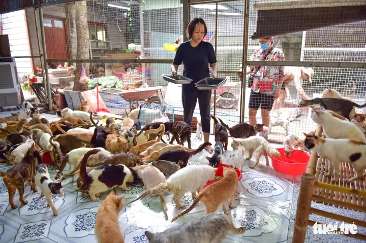 Người Phụ Nữ 6 Năm Cưu Mang Cả Ngàn Chú Chó, Mèo Chuộc Từ Lò Mổ - Ảnh 6.