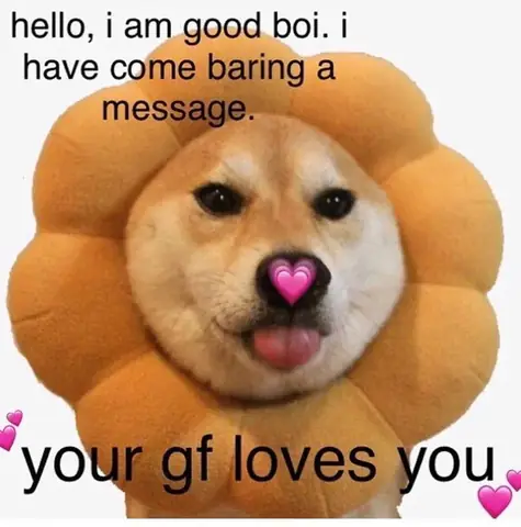 Người Yêu Chó Là Người Như Thế Nào?