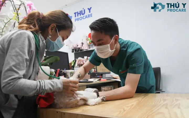 Phương Pháp Điều Trị Parvo Trên Chó