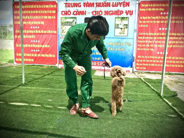 Nhận Huấn Luyện Chó Tại Nhà