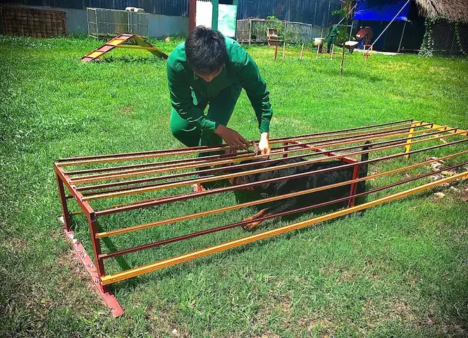 Nhận Huấn Luyện Chó Tại Nhà