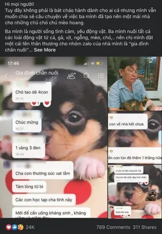 ‘gia Đình Chăn Nuôi’ Chuyên Nhận Chó Mèo Hoang, Cha Quyết Không Đi Chơi Vì ‘đi Rồi Có Ai Cho Chó Ăn’