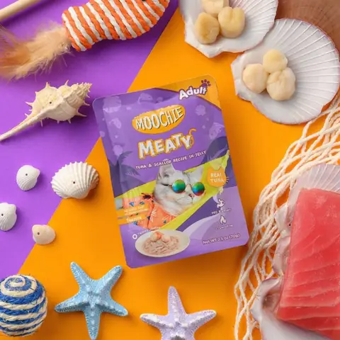 Hướng Dẫn Chi Tiết Nhập Khẩu Chó Từ Thái Lan An Toàn Và Hợp Pháp