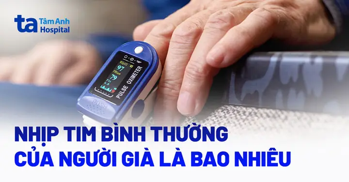 Nhịp Tim Bình Thường Của Chó: Cách Đo, Nhận Biết Và Khi Nào Cần Lo Lắng