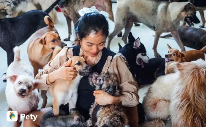 Giới Thiệu Chung Về Trạm Cứu Hộ Chó Mèo Sài Gòn Time