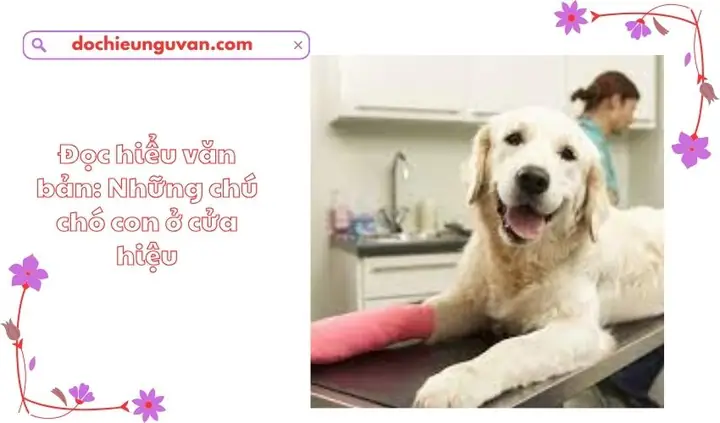 Đọc Hiểu Văn Bản: Những Chú Chó Con Ở Cửa Hiệu Đọc Hiểu Văn Bản: Những Chú Chó Con Ở Cửa Hiệu