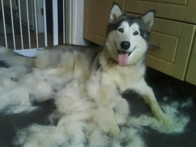 Yêu Cầu Chăm Sóc Cơ Bản Yêu Cầu Chăm Sóc Cơ Bản