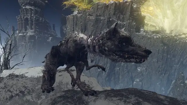 Top 15 Giống Chó Khổng Lồ Lớn Nhất Thế Giới