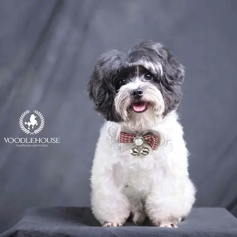 Loại Bỏ Những Yếu Tố Nguy Hiểm