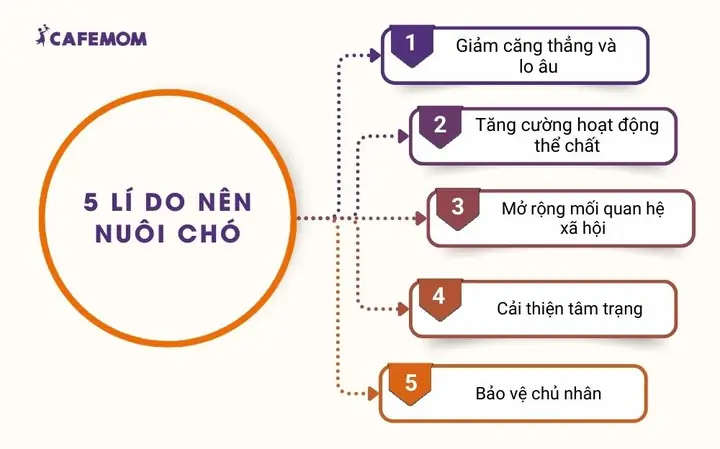 Có Nên Nuôi Chó Không? Có Nên Nuôi Chó Không?