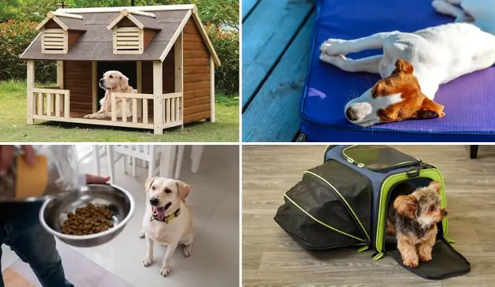 Cần Chuẩn Bị Những Vật Dụng Cần Thiết Cho Chó Nào? Cần Chuẩn Bị Những Vật Dụng Cần Thiết Cho Chó Nào?