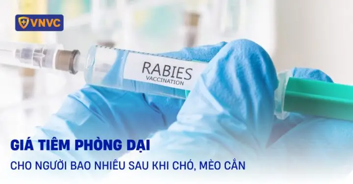 Tầm Quan Trọng Của Trách Nhiệm Chủ Nuôi