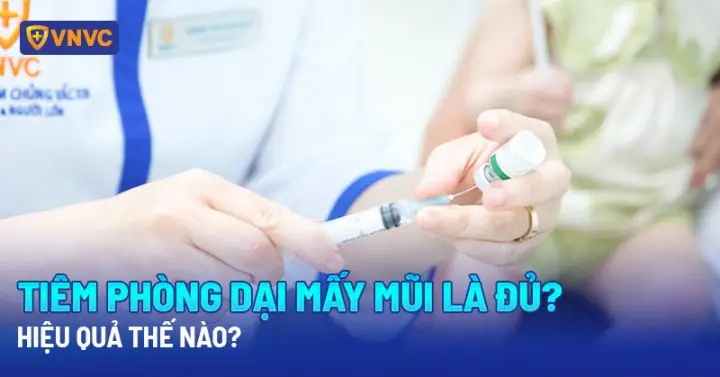 Nơi Tiêm Phòng Chó Dại: Tầm Quan Trọng & Hướng Dẫn Từ A-z