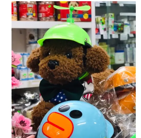 Nón Bảo Hiểm Cho Chó Có Thật Sự Cần Thiết Không? Nón Bảo Hiểm Cho Chó Có Thật Sự Cần Thiết Không?