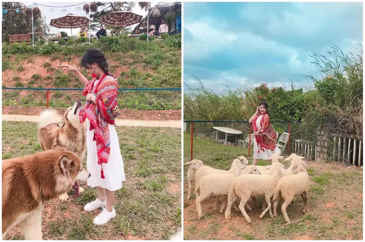 Đà Lạt Alaska House - Sự Kết Hợp Hoàn Hảo Giữa Cà Phê Và Nông Trại Đà Lạt Alaska House - Sự Kết Hợp Hoàn Hảo Giữa Cà Phê Và Nông Trại