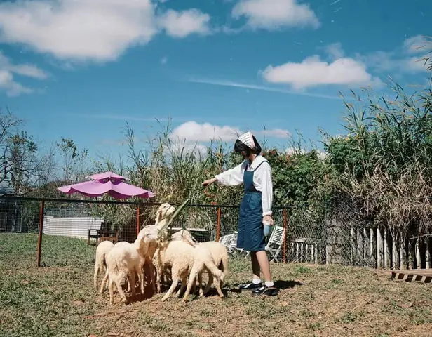 Đà Lạt Alaska House - Sự Kết Hợp Hoàn Hảo Giữa Cà Phê Và Nông Trại Đà Lạt Alaska House - Sự Kết Hợp Hoàn Hảo Giữa Cà Phê Và Nông Trại