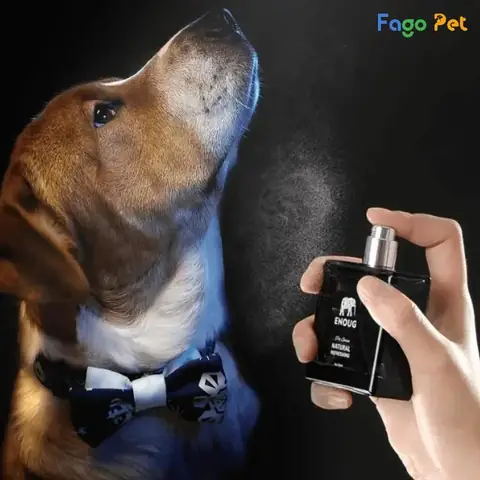 Công Dụng Và Ưu Điểm Của Nước Hoa Cho Chó Pug